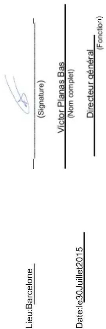 Sunstech ACTIONCAM10 - Se débarrasser correctement de ce Produit - 1