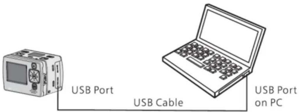 NILOX Foolish Special - File Storage and Play - 1