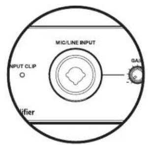 BOSE FreeSpace ZA 190HZ - Mic/Line input connections (Front-panel) - 2
