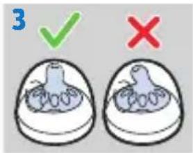 3 ✓ ×