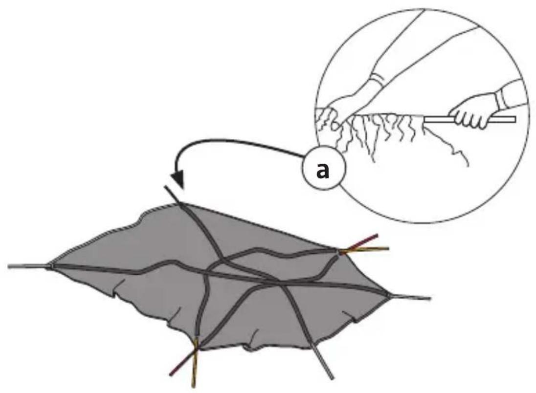 Vaude Division Dome 5P - ColorUr CoDeD - 1