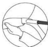 WOODS Trailhead 8 - Étape 7: fixez le mât de double-toit et attachez le double-toit - 1