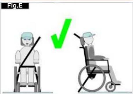 Quickie Argon - Occupant Restraints Instruction: - 2