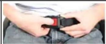 Quickie Helium 2013 - Ceinture sous-abdominale - 7