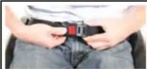 Quickie Helium 2013 - Ceinture sous-abdominale - 6