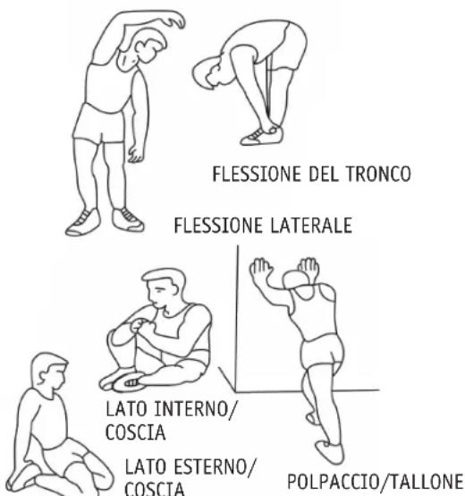 REX TX800 - Fase di riscaldamento - 1