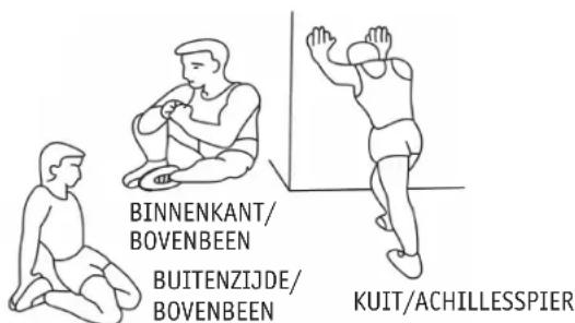 REX TX600 - D Organisatie van de trainingseenheden - 2