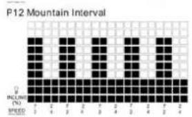 TUNTURI Run 3.0 - P10-P12 SPEED &amp; ELEVATION COMBINATION PROGRAMS: - 2