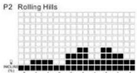 TUNTURI Run 3.0 - P2-P5 INCLINE PROGRAMS : - 1