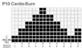 TUNTURI Run 3.0 - P10 - P12 SPEED &amp; ELEVATION COMBINATION PROGRAMS : - 1