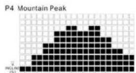 TUNTURI Run 3.0 - P2-P5 INCLINE PROGRAMS : - 3