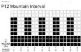 TUNTURI Run 3.0 - P10 - P12 SPEED &amp; ELEVATION COMBINATION PROGRAMS : - 2