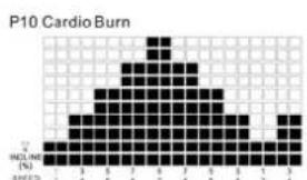TUNTURI Run 3.0 - P2-P5 INCLINE PROGRAMS : - 9