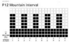 TUNTURI Run 3.0 - P6-P9 SPEED PROGRAMS : - 4