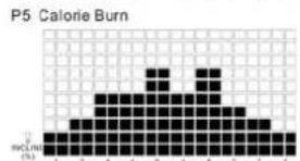 TUNTURI Run 3.0 - P2-P5 INCLINE PROGRAMS : - 4
