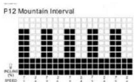 TUNTURI Run 3.0 - P2-P5 INCLINE PROGRAMS : - 10