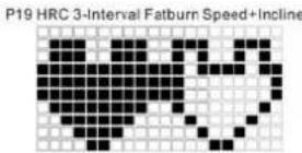 TUNTURI Run 3.0 - P19 HRC3 - INTERVAL FATBURN PROGRAM (SPEED &amp; ELEVATION): - 1