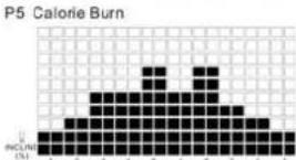 TUNTURI Run 3.0 - P2-P5 INCLINE PROGRAMS : - 4