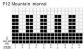 TUNTURI Run 3.0 - P10 - P12 SPEED &amp; ELEVATION COMBINATION PROGRAMS : - 3
