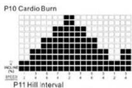 TUNTURI Run 3.0 - P10 - P12 SPEED &amp; ELEVATION COMBINATION PROGRAMS : - 1