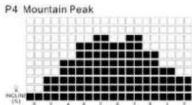 TUNTURI Run 3.0 - P2-P5 INCLINE PROGRAMS : - 2