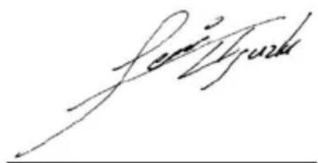 SILVERCREST SBTF 10 C2 - C E - 1