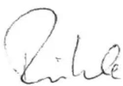 Flex CSE 55 T - Garantia - 1