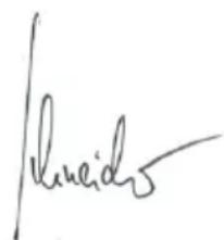 Flex CSE 55 T - YIIOAEIEH - 4