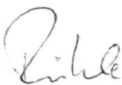 Flex CSE 55 T - C∈-Konformität - 1