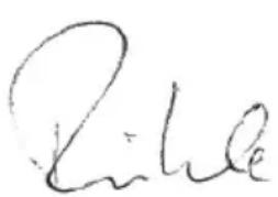 Flex CSE 55 T - Conformidad (C) - 1