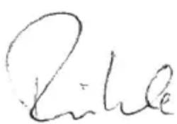 Flex CSE 55 T - Deklaracja zgodnosci (C) - 1