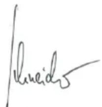 Flex CSE 55 T - C ∈-Declaration of Conformity - 1