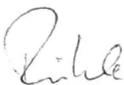 Flex CSE 55 T - Gwarancja - 1