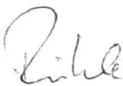 Flex CSE 55 T - C∈-Konformitet - 1