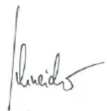 Flex CSE 55 T - YIIOAEIEH - 1