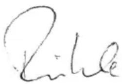 Flex CSE 55 T - Felelosség kizársa - 1