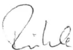 Flex CSE 55 T - Mügigarantii - 1