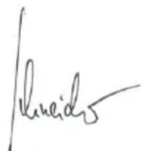 Flex CSE 55 T - C∈-Konformität - 2