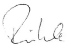 Flex CSE 55 T - Takuu - 1