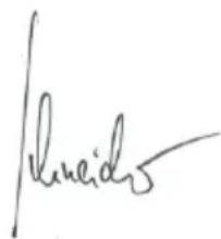 Flex CSE 55 T - YIIOAEIEH - 2