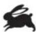 RYOBI RPD680 - SYMBOL IN DIESER BEDIENUNGSANLEITUNG - 7