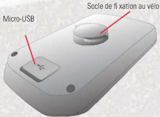 FALK Pantera - 2
