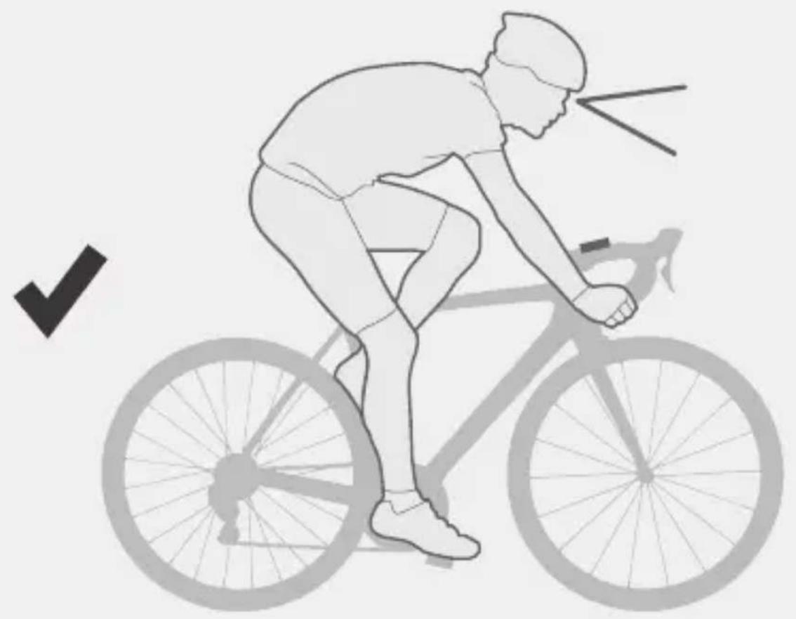 BONTRAGER Trip 300 - À propos de ce manuel - 2