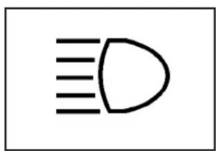 Hummer H2 (2009) - Témoin de peux de route - 1