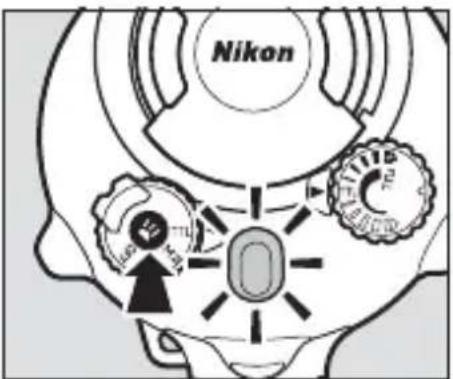 Nikon