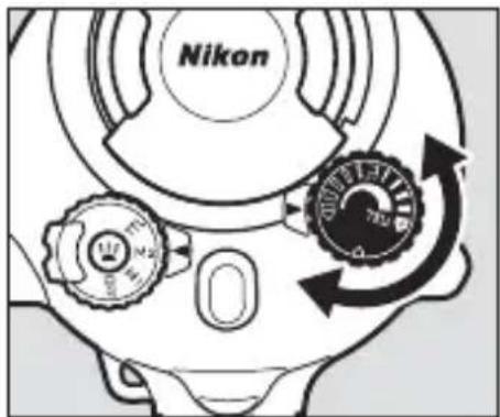 Nikon