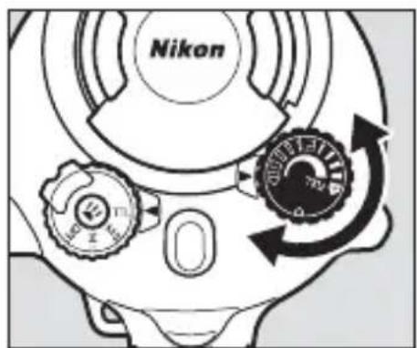Nikon