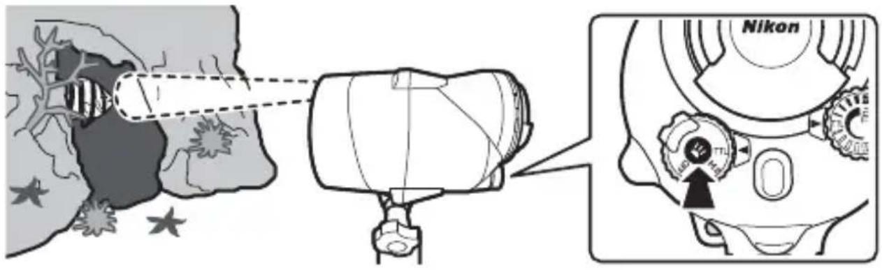 NIKON SBN10 - Benutzen des Pilotlichts - 1