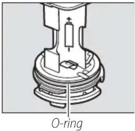 O-ring