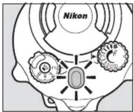 Nikon